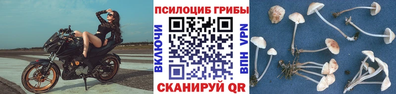 купить наркоту  Таганрог  Галлюциногенные грибы ЛСД 